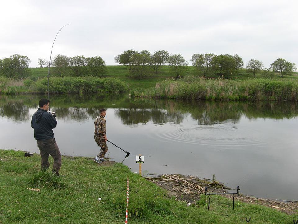 chiroiu 4 - 1470140583878088331947981880860n.jpg